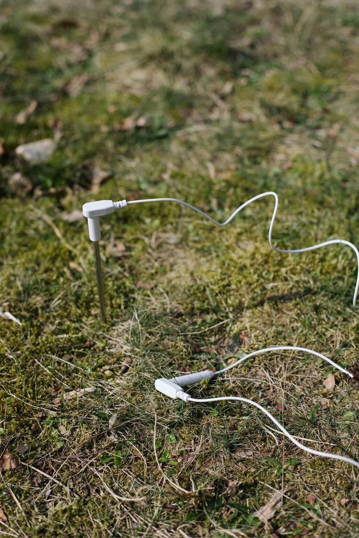 Earthle aardingspin met kabel in het gras in de tuin, als alternatief voor een geaard stopcontact