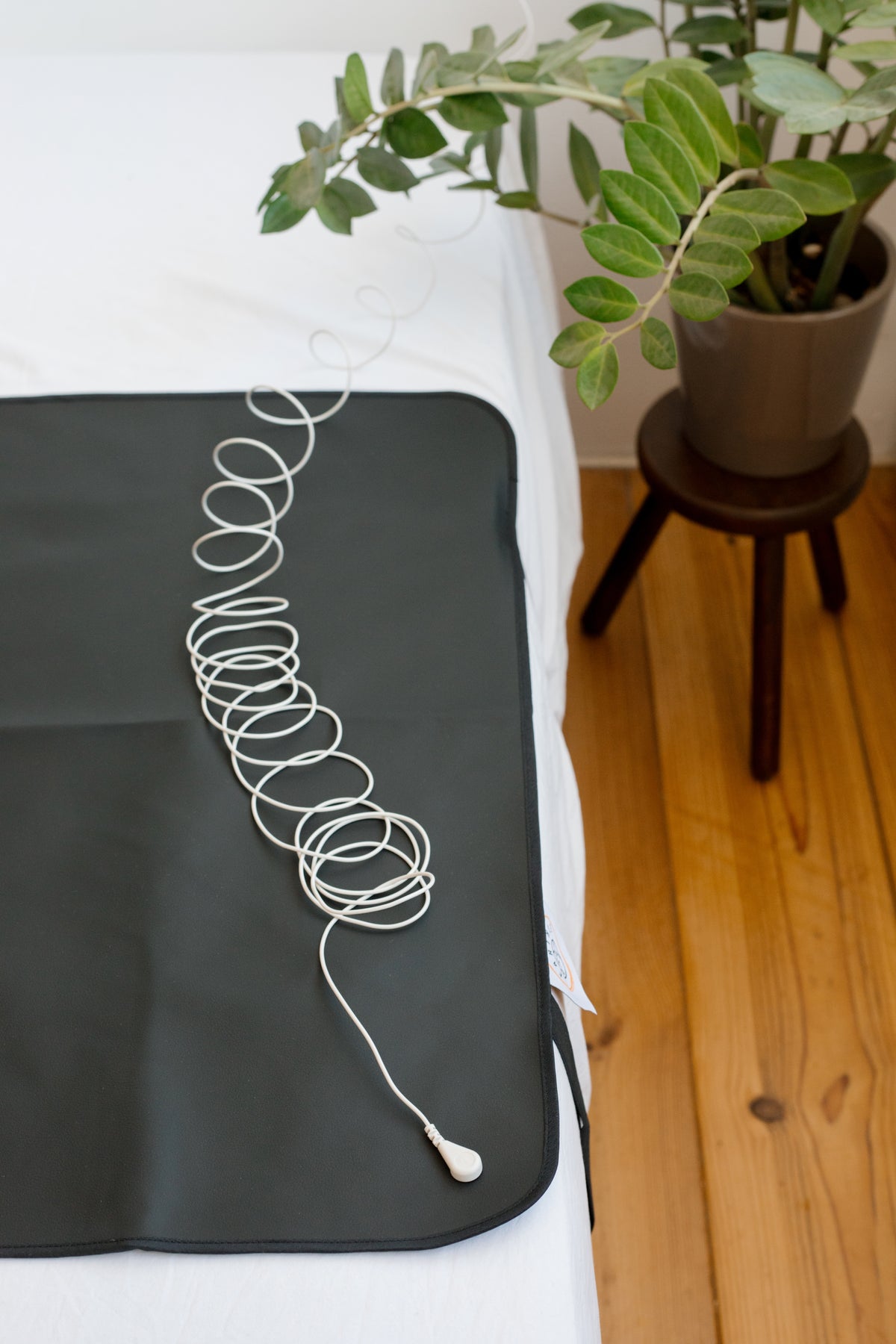 Cable de conexión a tierra sobre la esterilla enrollada, con una planta de interior al fondo