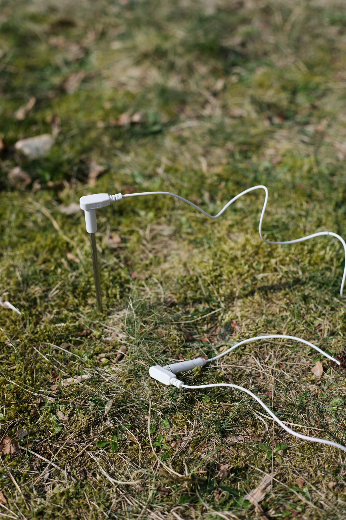 Piqueta de tierra Earthle clavada en la hierba con el cable de conexión